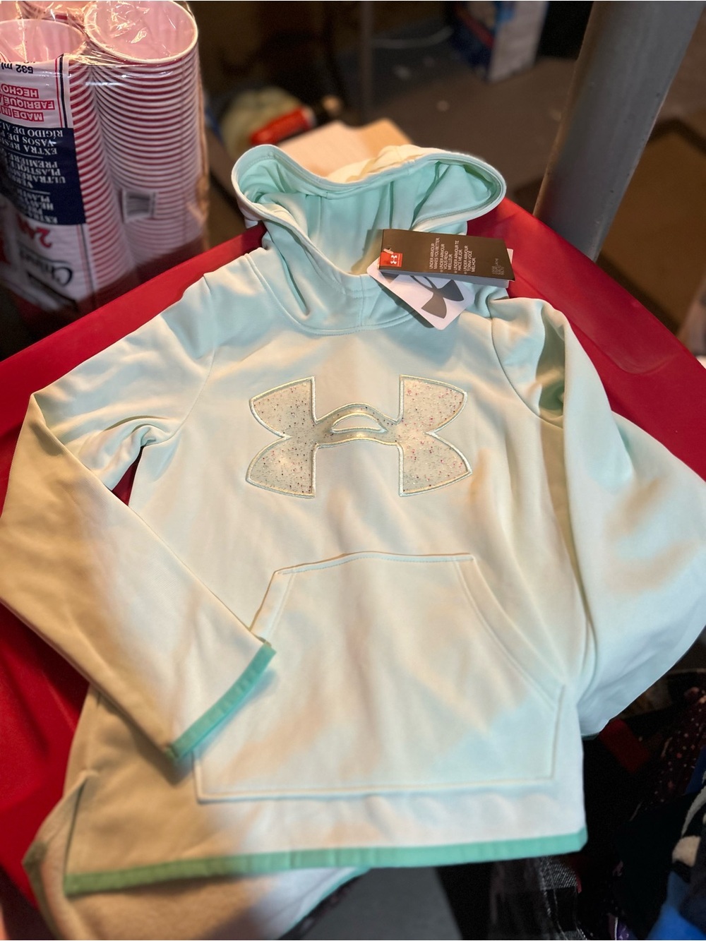 Under Armour Mint Green Pullover Hoodie with Glitter Logo